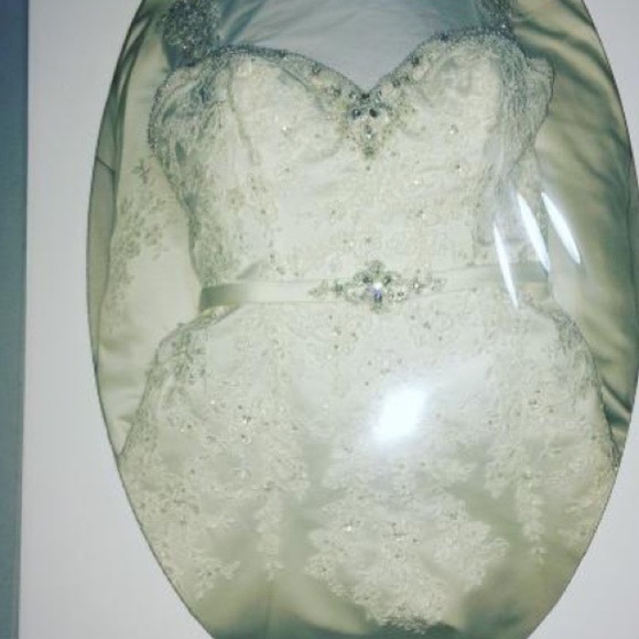 David Tutera Laney Wedding Dress - Picture 7 of 7